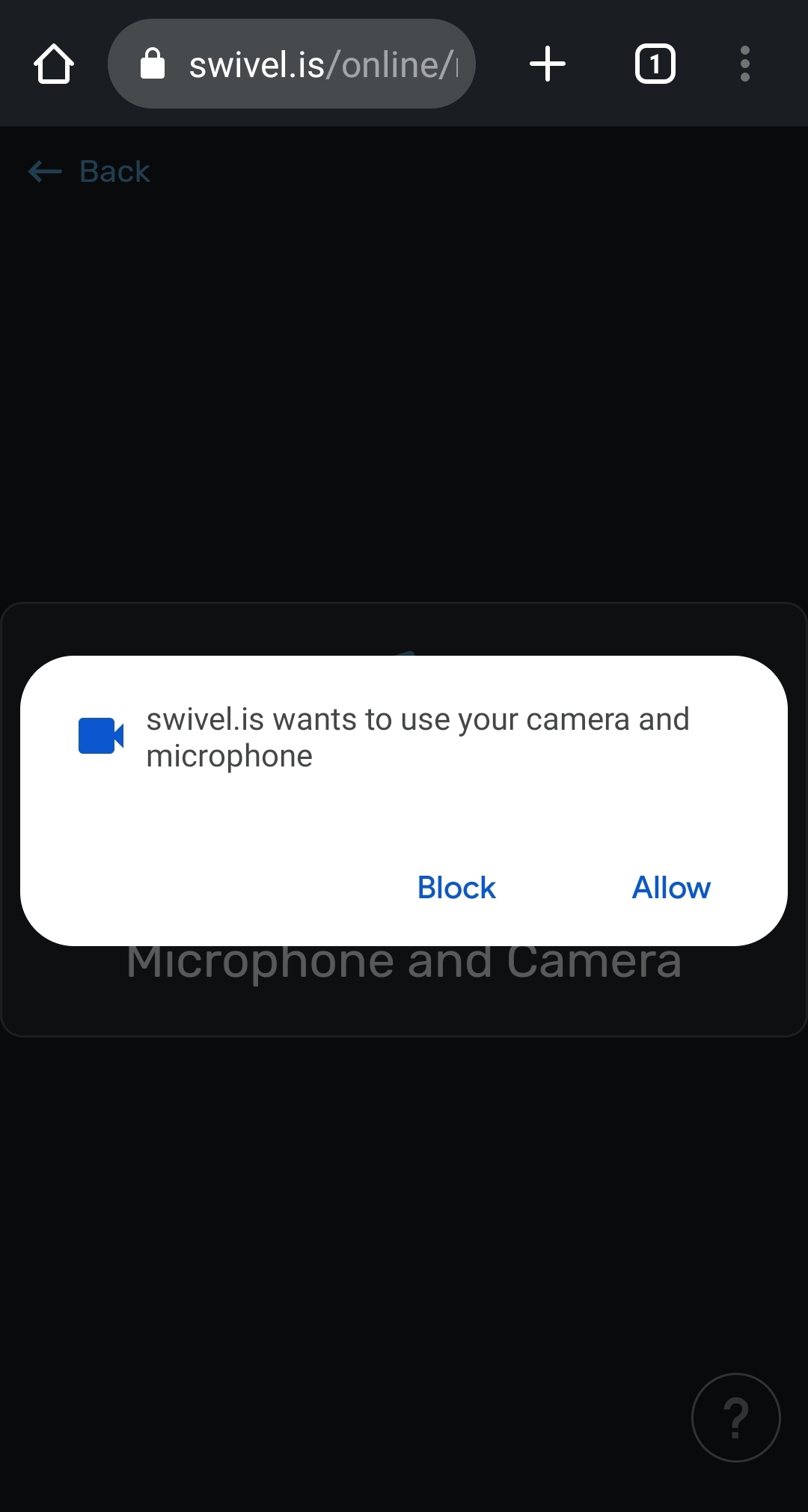 12__swivel.is_wants_to_use_your_camera_and_microphone.jpg